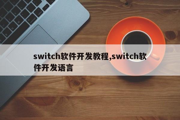 switch软件开发教程,switch软件开发语言
